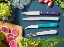 Load image into Gallery viewer, Opinel 4 Piece Knife Sets
