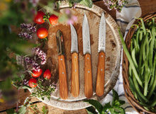 Load image into Gallery viewer, Opinel 4 Piece Knife Sets
