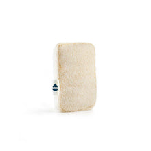 Load image into Gallery viewer, Compostable Sponge with Loofah Scourer
