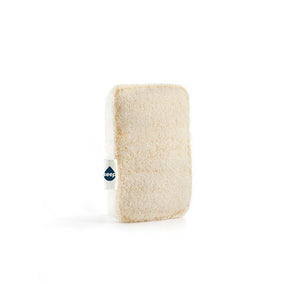 Compostable Sponge with Loofah Scourer