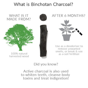 Charcoal Water Filters without Coil